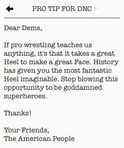 Dear Dems pro wrestling