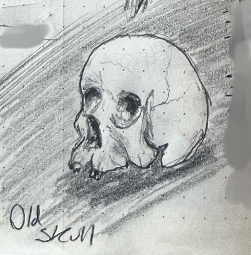 A pencil sketch of an old human skull.