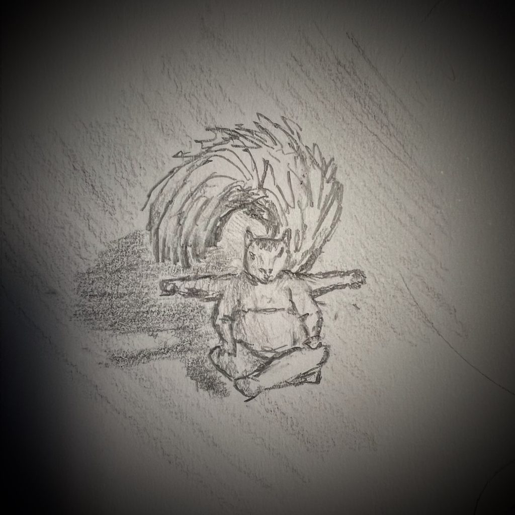 A pencil sketch of a squirrel-like warrior monk sitting cross-legged with its large, bushy tail forming a circle behind it.
