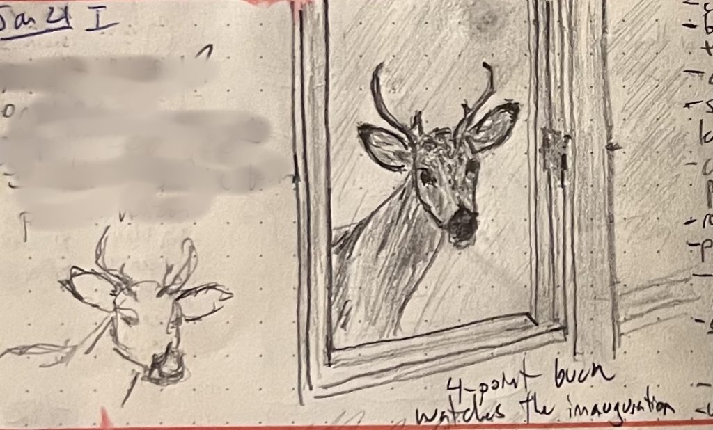 A couple pencil sketches of a four-point buck (male deer) looking in through my mom's living room window.