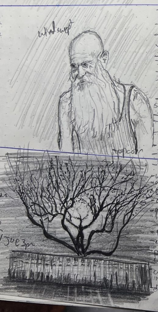 A pair of pencil sketches. The upper sketch shows an wiry old bald man with an enormous beard. He's depicted from the chest up, and seems to be somewhat windswept. The lower sketch shows a cherry tree just in blossom as the sun rises behind it, throwing it into sharp contrast.