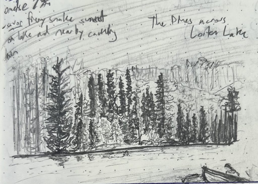 A pencil sketch of the pine-crowded shoreline of Loiten Lake in Voyageurs National Park