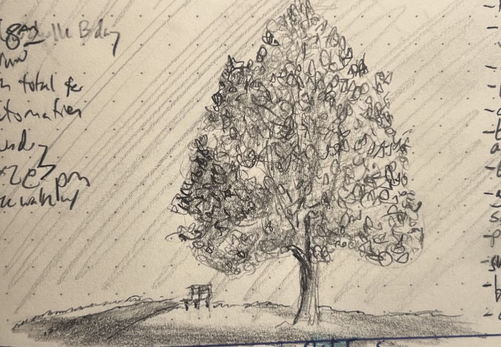 A pencil sketch of a tree near a bench and pathway, caught in the deep slanting light of late-day Michigan autumn.