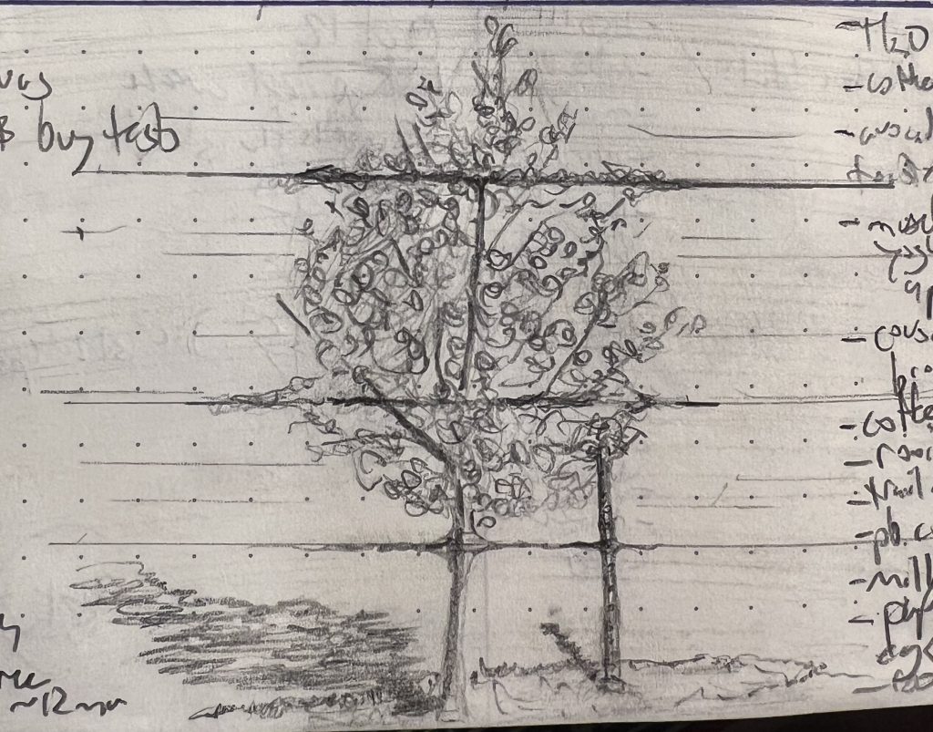 A "glitched" pencil sketch of an autumn tree.