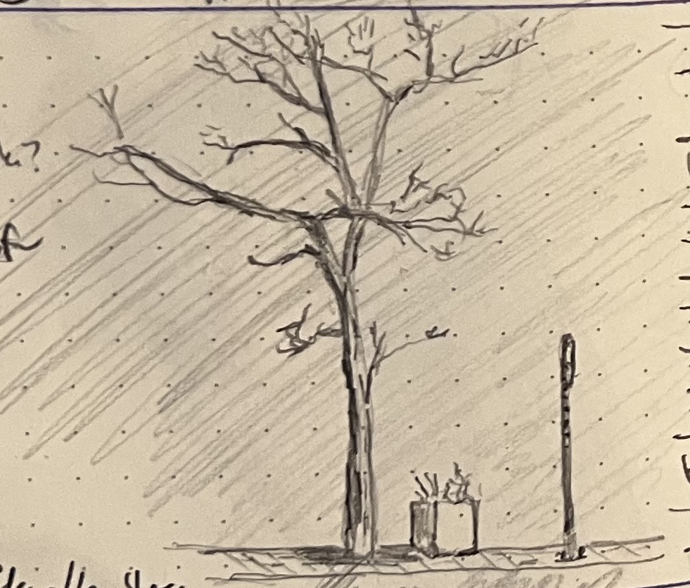 Pencil sketch of a little city tree next to a planter and a parking sign
